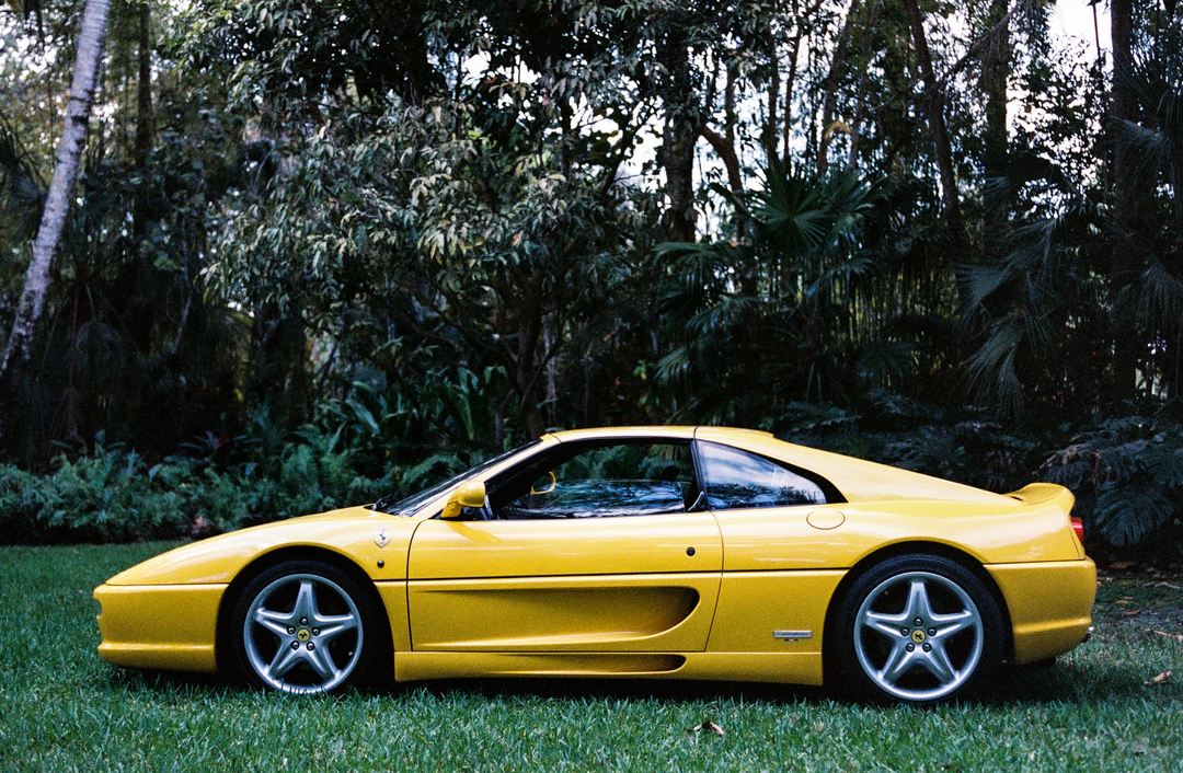 Prancing Horses - Hardcover Book