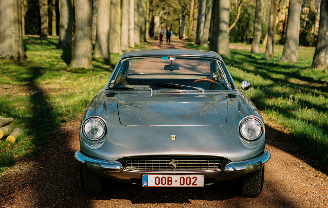 Prancing Horses - Hardcover Book