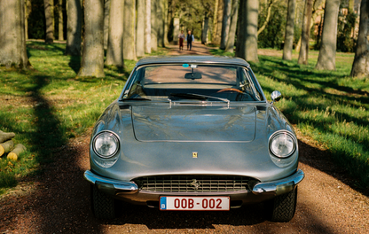 Prancing Horses - Hardcover Book