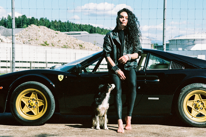 Prancing Horses - Hardcover Book